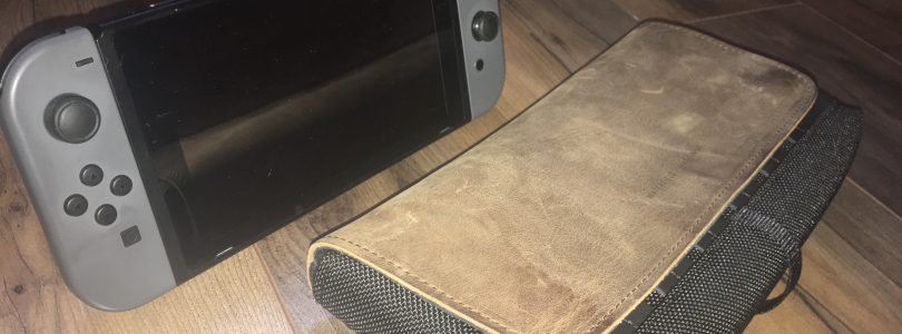 Infendo Review: The Waterfield Cityslicker Switch Case
