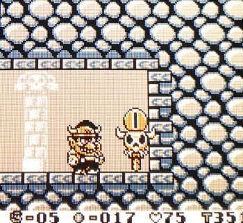 Wario Land - Mid-level Save Point